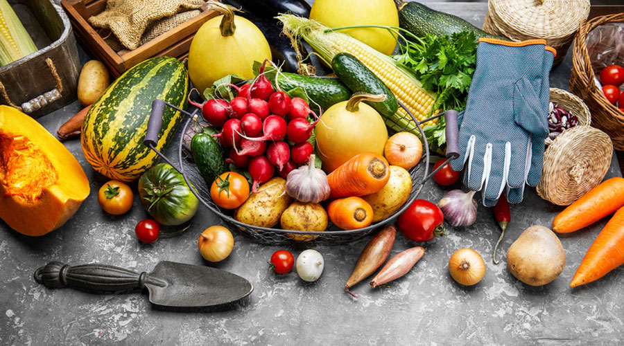 Alimentation durable : 8 conseils simples pour manger plus écologique, sain et économique